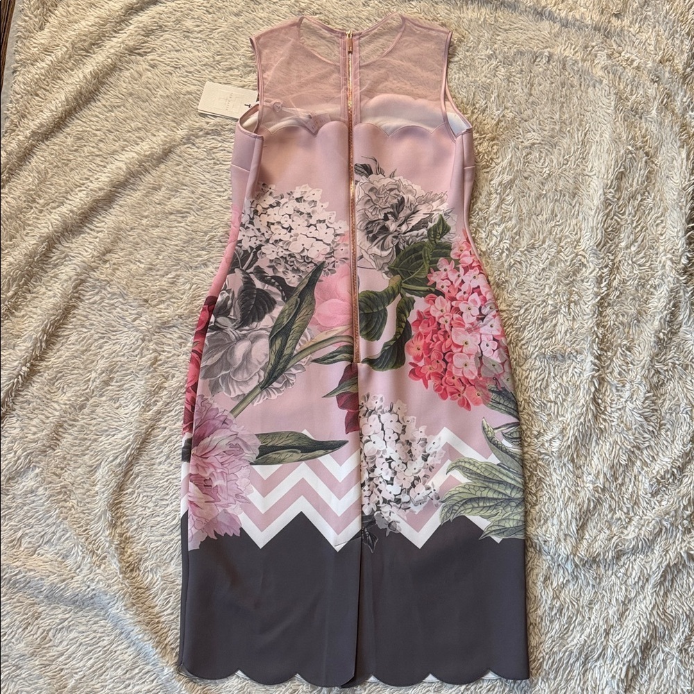 NWT TED BAKER  Arionah Palace Gardens Scallop Dusty Pink dress size 3, size US 8 - Picture 12 of 16